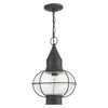 LIVEX LIGHTING 26906-61 1 Light Charcoal Outdoor Pendant Lantern