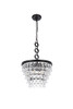 Elegant Lighting 1219D16BK/RC  Nordic 4 lights black pendant Elegant Lighting 1219D16BK/RC  Nordic 4 lights black pendant