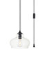 Living District LDPG2246BK Destry 1 Light Black plug-in Pendant With Clear Glass