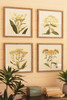 KALALOU CHH1355 SET OF FOUR FRAMED FLOWER PRINTS UNDER GLASS #1