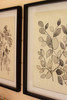 KALALOU CHH1364 SET OF TWO FRAMED BLACK LEAVES PRINTS UNDER GLASS - FROM CHH1353