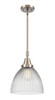 447-1S-SN-G222-LED