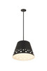 Z-LITE 6014-18MB 1 Light Chandelier,Matte Black