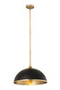 Z-LITE 1004P20-MB-RB 1 Light Pendant,Matte Black + Rubbed Brass