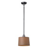 ELK LIGHTING 66829-1 1-Light Mini Pendant in Weathered Zinc