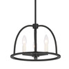 CRYSTORAMA ABB-3003-BK Abbott 3 Light Black Chandelier