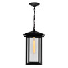 CWI LIGHTING 0417P9-1-101 Crawford 1 Light Black Outdoor Hanging Light