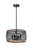 WAREHOUSE OF TIFFANY'S MD09/4 Agustin 14 in. 4-Light Indoor Matte Black Finish Chandelier with Light Kit