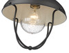 Z-LITE 590F-BK 1 Light Outdoor Flush Ceiling Mount Fixture, Black