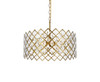 Elegant Lighting 1111D21BR Lyla 21 inch pendant in brass