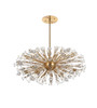 Elegant Lighting 2500D48SG Vera 48 inch crystal starburst oval pendant in gold