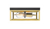 Bethel International YS2181C12BGD 2-Light Flush Mount, Black & Gold