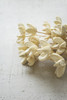 KALALOU NGLB1017 BUNDLE OF 24 BLEACHED BULLET FLOWERS ON STEMS