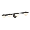 ELK HOME 81593/LED Nelly 31'' Wide 4-Light Vanity Light - Matte Black