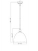 Z-LITE 4500P12-BN 1 Light Pendant, Brushed Nickel