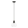 LIVEX LIGHTING 46501-04 1 Light Black with Brushed Nickel Accents Mini Pendant