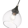 LIVEX LIGHTING 46501-04 1 Light Black with Brushed Nickel Accents Mini Pendant