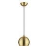 LIVEX LIGHTING 45481-01 1 Light Antique Brass with Polished Brass Accents Globe Mini Pendant