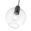 LIVEX LIGHTING 48972-04 1 Light Black with Brushed Nickel Accents Sphere Pendant