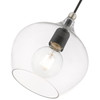 LIVEX LIGHTING 49088-04 1 Light Black with Brushed Nickel Accent Pendant