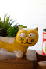 KALALOU CDV2156 CERAMIC YELLOW AND WHITE CAT PLANTER