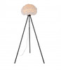 BETHEL INTERNATIONAL DLS23F17BW 1-Light Floor Lamp, Black