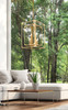 Z-LITE 3038-8RB 8 Light Chandelier, Rubbed Brass
