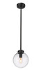 Z-LITE 599P8-BK 1 Light Outdoor Pendant, Black