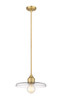 Z-LITE 821P14-OBR 1 Light Pendant, Olde Brass