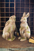 KALALOU CHE1470 Faux Concrete Rabbit - Head Up