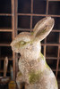 KALALOU CHE1471 Faux Concrete Rabbit - Head Forward