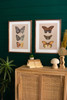 KALALOU CMK1196 Set Of Two Framed Butterfly Prints Under Glass