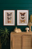 KALALOU CMK1196 Set Of Two Framed Butterfly Prints Under Glass