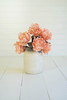 KALALOU CSL2661 Botanica #2661
