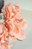 KALALOU CSL2661 Botanica #2661