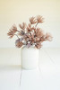 KALALOU CSL2664 Botanica #2664