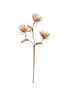 KALALOU CSL2664 Botanica #2664