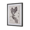 ELK HOME S0056-10636 Oak II Botanic Framed Wall Art