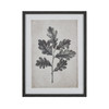 ELK HOME S0056-10635 Oak I Botanic Framed Wall Art