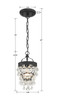 CRYSTORAMA 131-MK Calypso 1 Light Matte Black Mini Chandelier