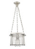 Z-LITE 7503P13-BN 1-Light Pendant, Brushed Nickel