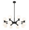 Z-LITE 494-16MB 16-Light Chandelier, Matte Black