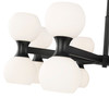 Z-LITE 494-16MB 16-Light Chandelier, Matte Black