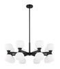 Z-LITE 494-16MB 16-Light Chandelier, Matte Black