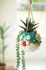 KALALOU CDV2246 CERAMIC HANGING BLOWFISH PLANTER