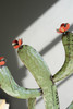 KALALOU NTM1378 SET OF TWO RECYCLED IRON CACTUS