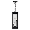 CWI LIGHTING 1695P8-4-101 Windsor 4 Light Black Outdoor Ceiling Light