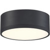 ACCESS LIGHTING 50004LEDD-BL/ACR-120V LED Flush Mount