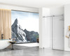 Elegant Kitchen and Bath SD101-6076BNK Frameless shower door 60 x 76 Brushed Nickel