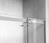 Elegant Kitchen and Bath SD202-6076BNK Frameless shower door 60 x 76 Brushed Nickel